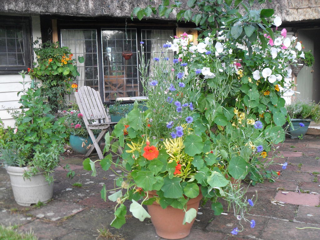 Church Hall Farm Bed And Breakfast Broxted Exterior foto